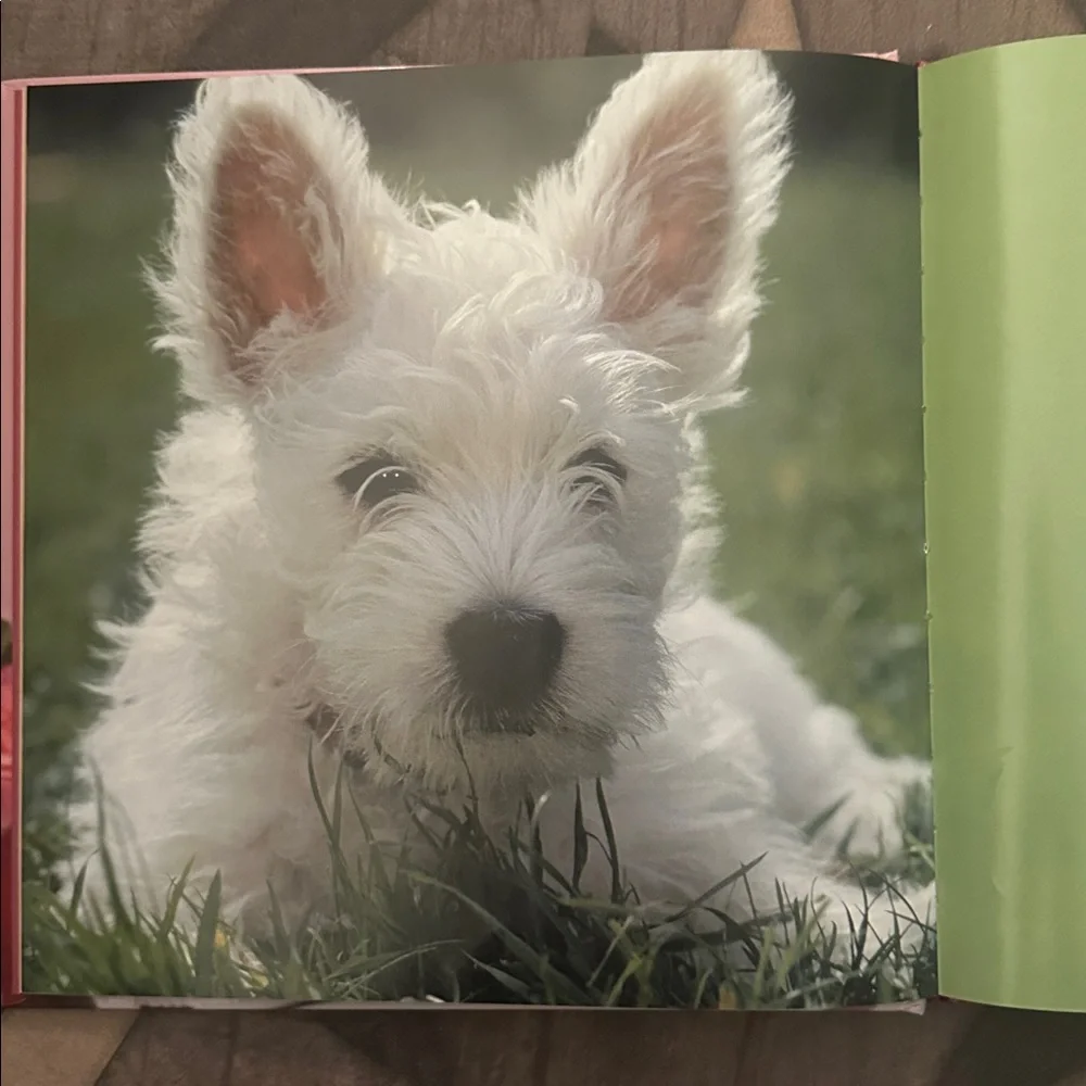 Cooking for Your Dog: Tasty, Healthy, and Safe Recipes Book